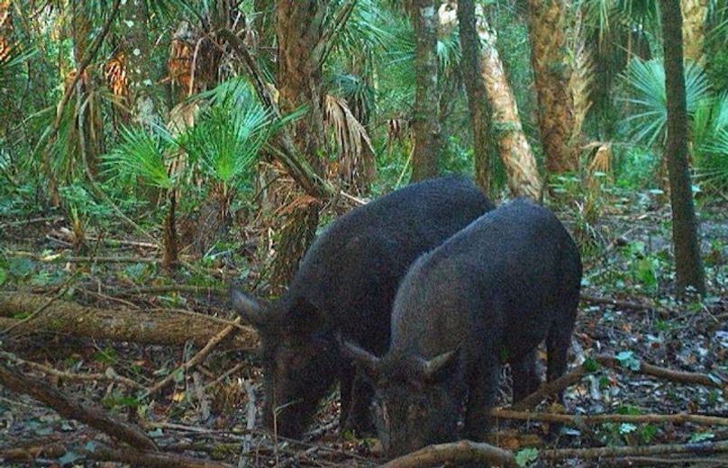 32803657-B944-4B51-A5DD-A37FD9F392E1