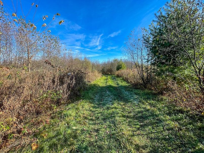 Clark 24.75 Winkel -15