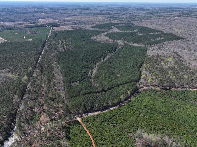 010AE - 257 Acres - Drone-3