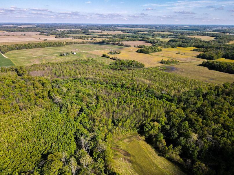 vandalia 450 (2)-3064