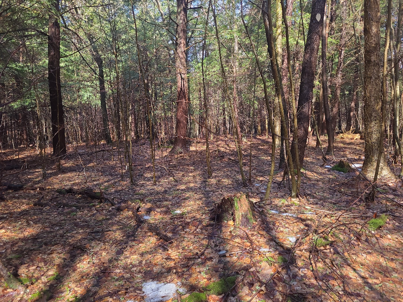 photo_2a4ba683-3671-4617-8a63-f1619764553d