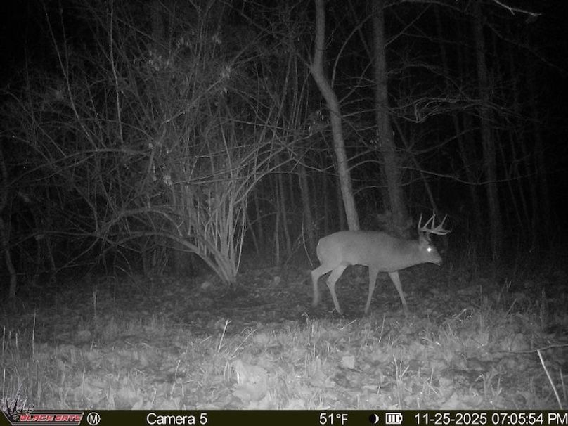 34F8166D-A145-4778-8C04-A8530BC1935A