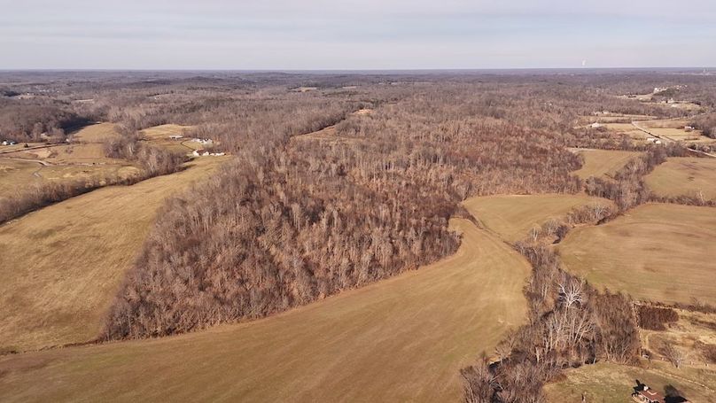 dji_fly_20250210_155154_0777_1740177227329_aeb