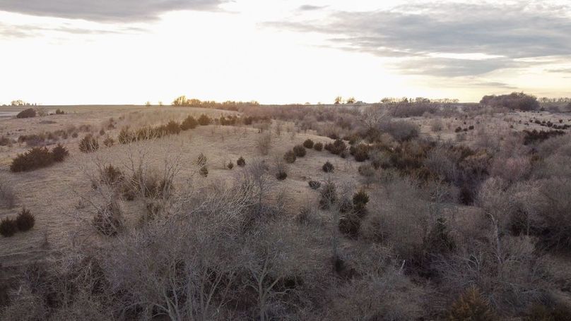 MONTGOMERY CO IA 156.78_73