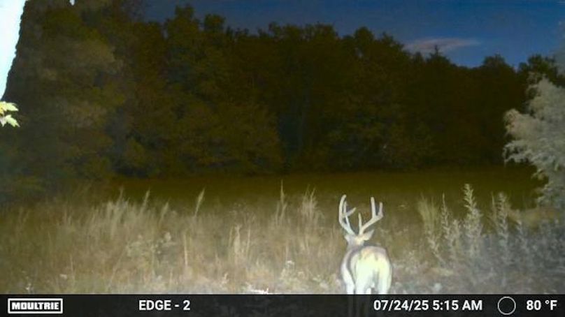 Temp_2017840-20250724101701-100MFCAM_MFDC0996