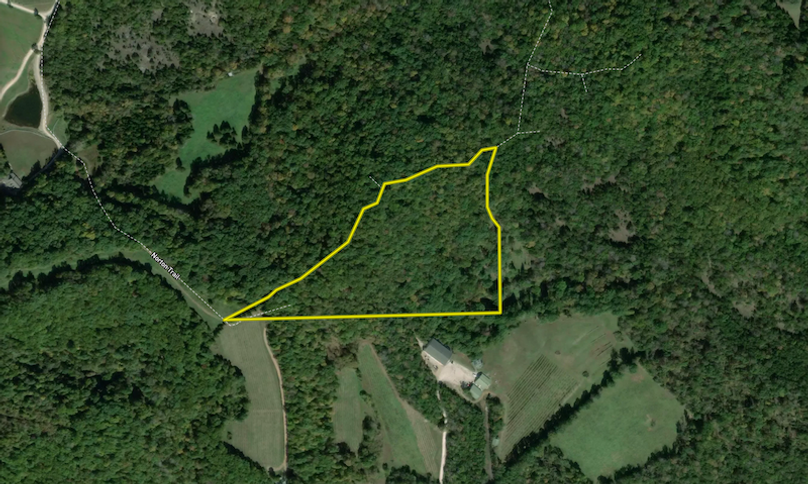 Screenshot 2024-09-24 at 10.31.46 AM