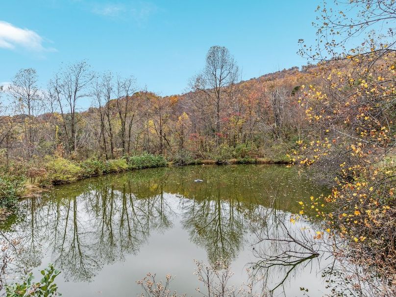27-DJI_0295_ 291 Capon Springs Grade - Absolute Altitude - 10 - 2025 -27
