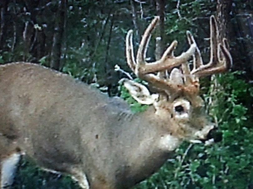 D89B1A6D-C923-4549-958C-59ED19D99AB4