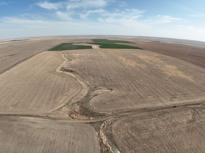 DJI_0379