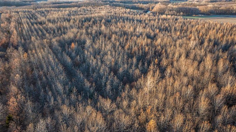 DJI_20251221160949_0021_D