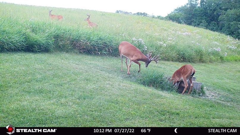 Bucks Aug 22