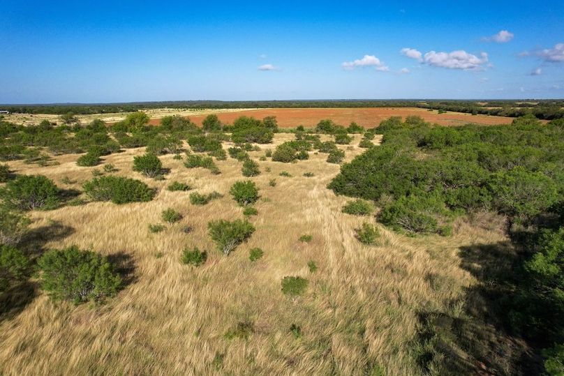 DJI_0499