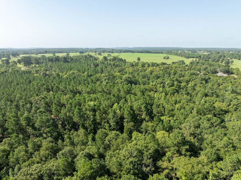 DJI_20240717050258_0141_D-HDR