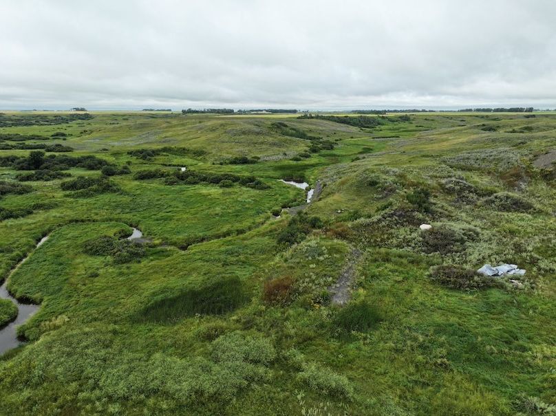 Copy of DJI_20250704140843_0616_D