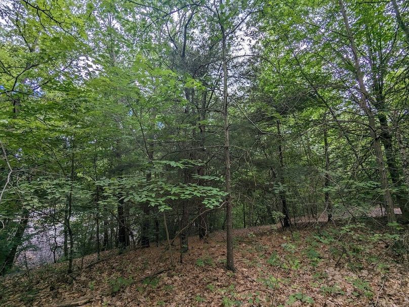 PXL_20240607_190155899