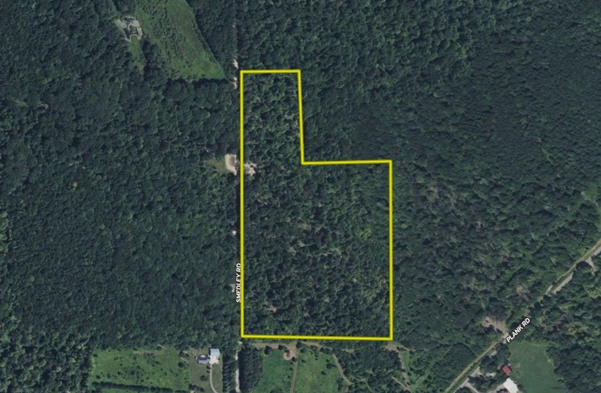 Screen Shot 2025-11-12 at 2.46.49 PM