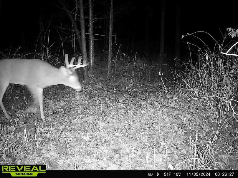 865814048154676-30-2-11052024002626-HD-W1000838