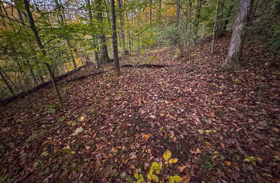 Wirt, WV 43 AC Berry-03