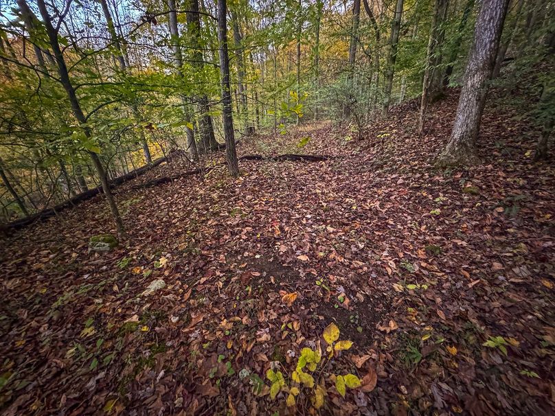 Wirt, WV 43 AC Berry-03