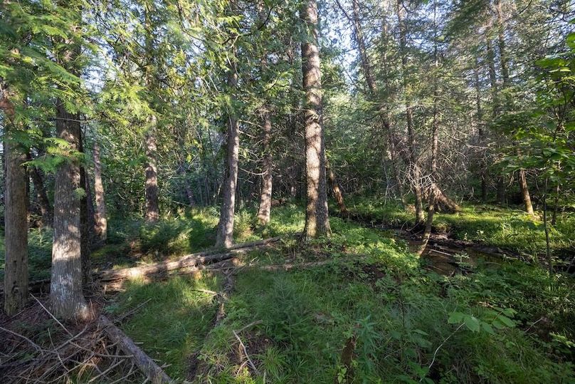 Mackinac 320 Copenhaver-101