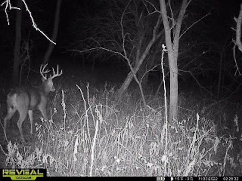 865509050418056-80-3-11302022022851-W1000993