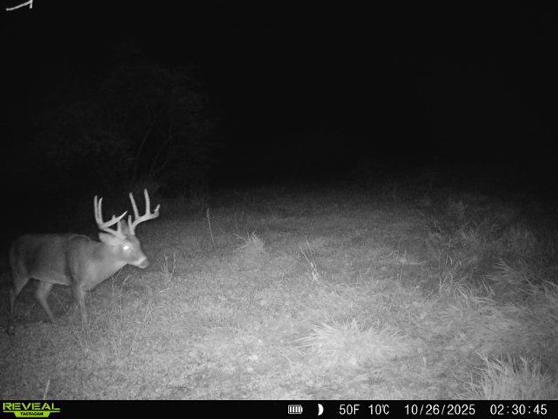 860516064895174-100-4-10262025023044-W1000161