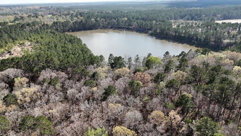 dji_fly_20260305_050332_0084_1772672664618_photo