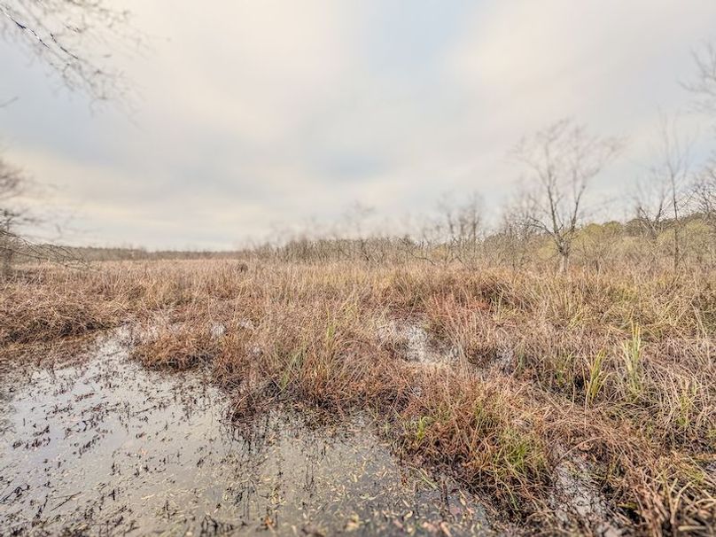 Monroe 80 Driver Dixon (Final Frontier) -08