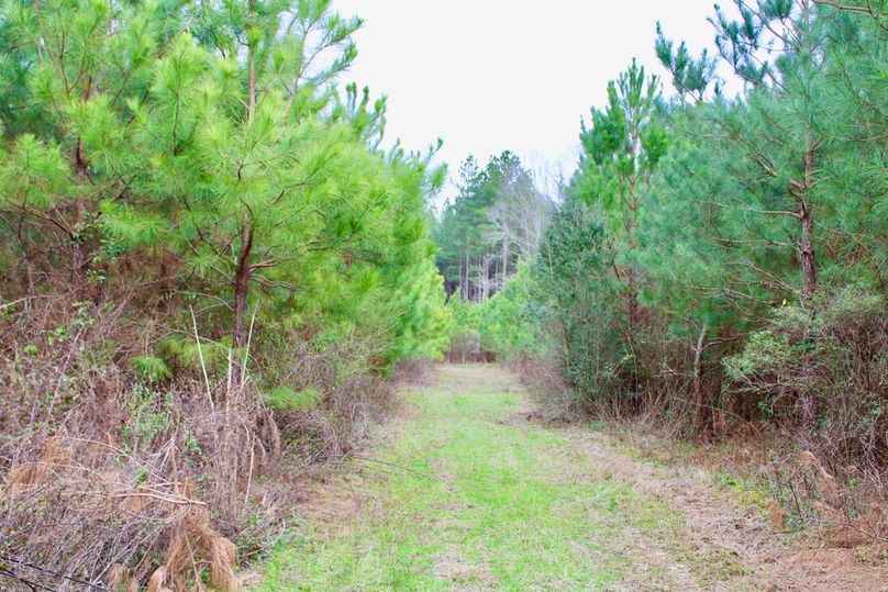 7B78AB53-CCE0-4463-8C91-CAA17713429C_1_105_c