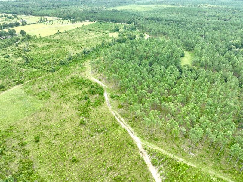 dji_fly_20240710_135152_544_1720634615231_photo