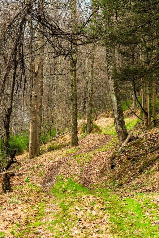 42-web-or-mls-IMG-42