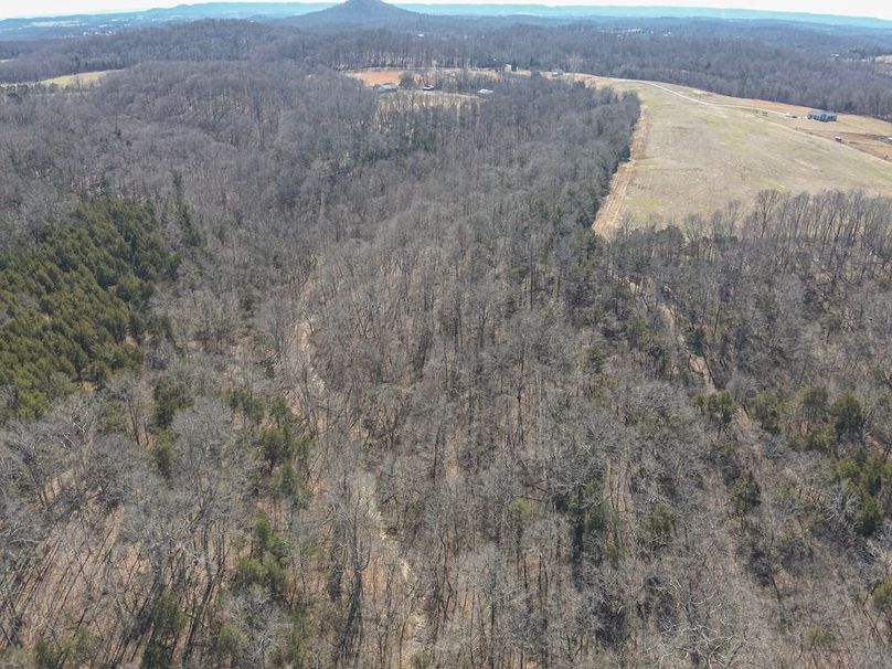 3-DJI_20260228135222_0006_W