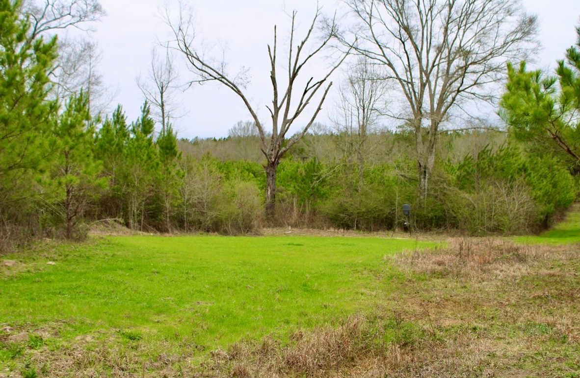 2CADA881-F4BC-4391-BDC5-ABA15A8423ED_1_105_c