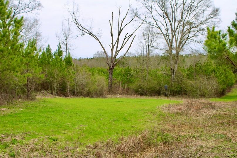 2CADA881-F4BC-4391-BDC5-ABA15A8423ED_1_105_c