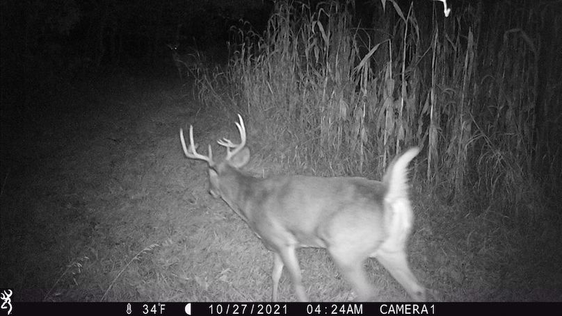 Sauk 174 Trailcam - 49