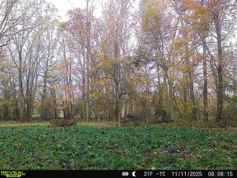 860516068101389-100-2-11112025101100-HD-SYFW1992