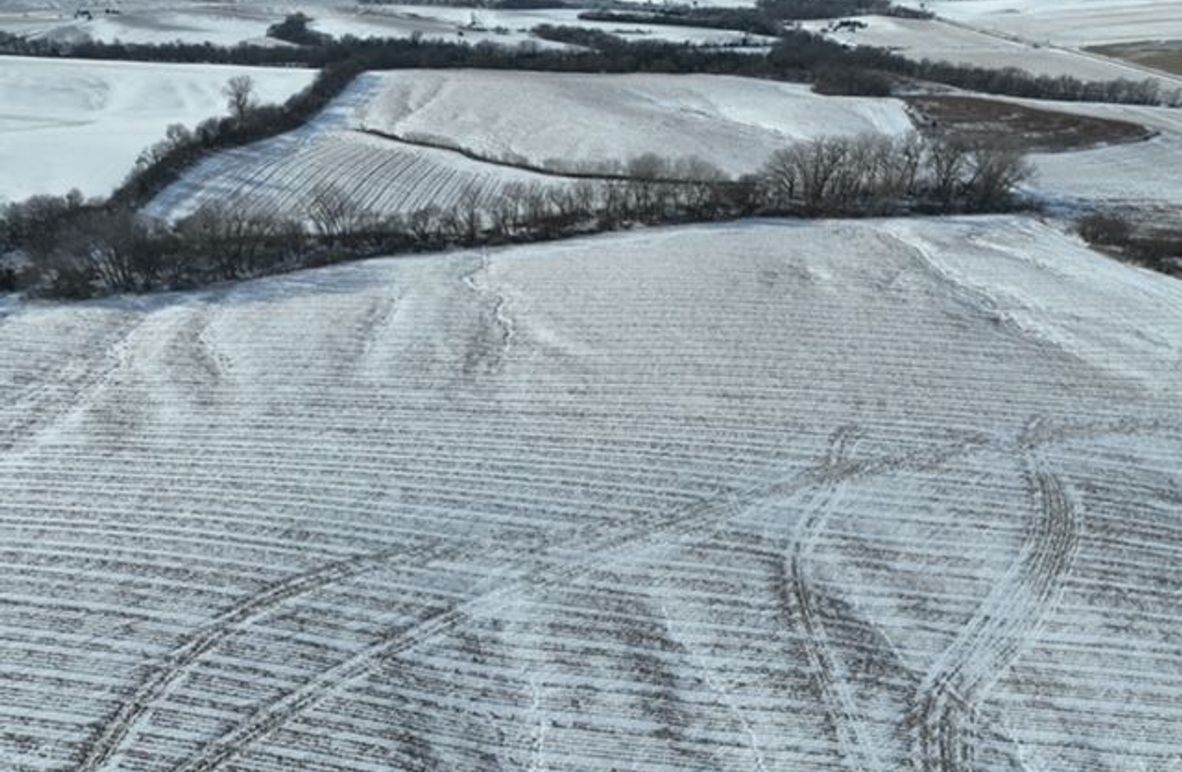 dji_fly_20251203_132204_391_1764792391604_photo