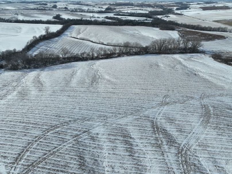 dji_fly_20251203_132204_391_1764792391604_photo