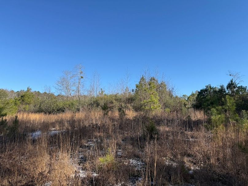 20 - open area in middle