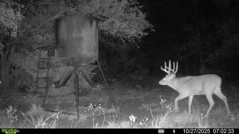 016578005325235-100-3-10272025070233-SYFW00216