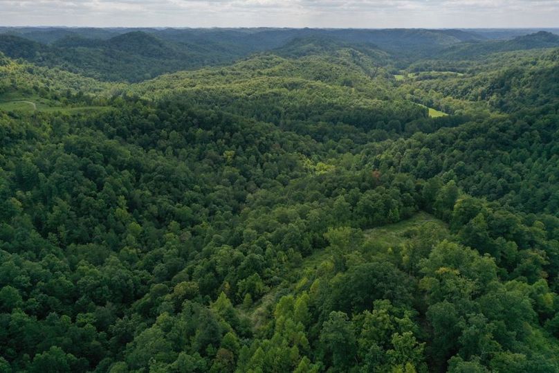 006 aerial drone shot from the southeast boundary looking to the northeast toward the KY river