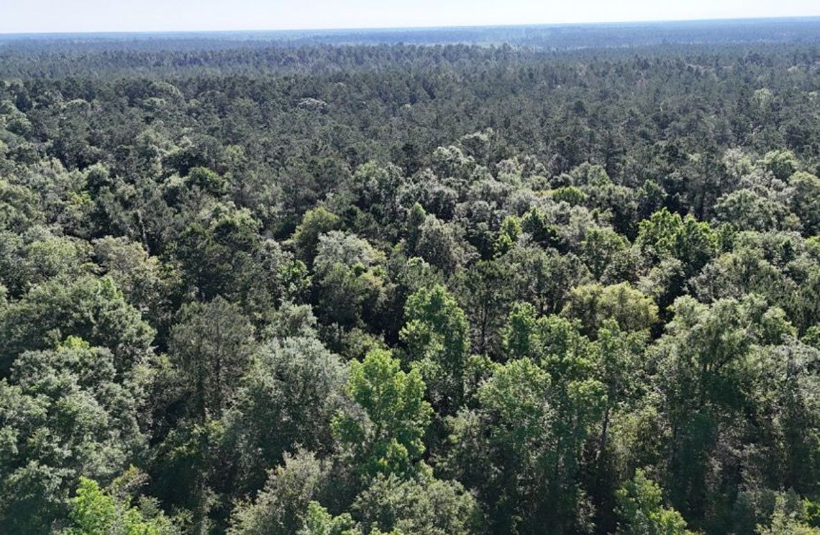 dji_fly_20260512_091238_0158_1778611345484_photo