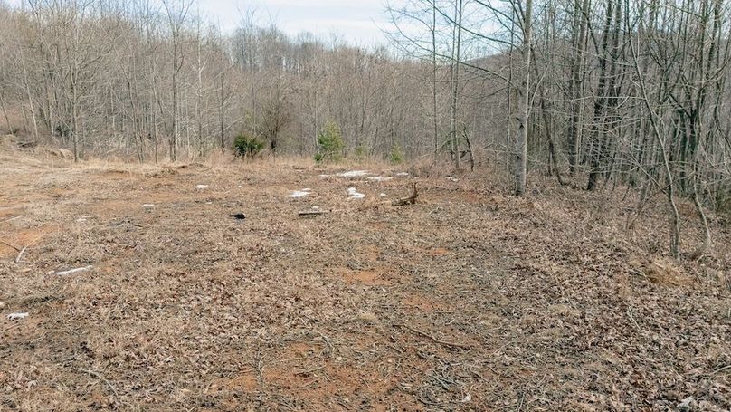 DJI_20260217121835_0124_D