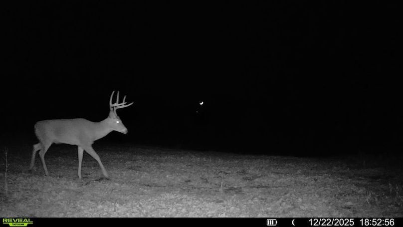 016578002607064-62-4-12222025185256-V-SYFW00056