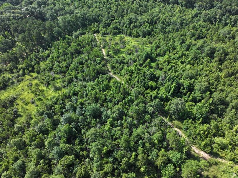 dji_fly_20250612_093730_0097_1750261387532_photo