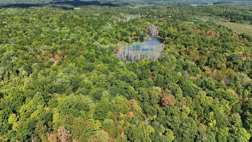 Jefferson_148.1_Flood_Photos_24