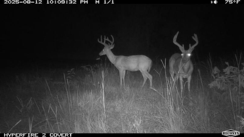 TwinStatesTrailCam04