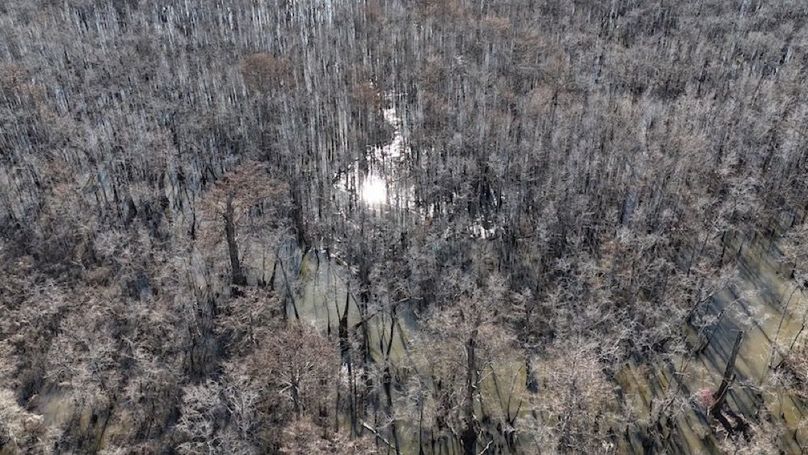 swamp20260501_0216