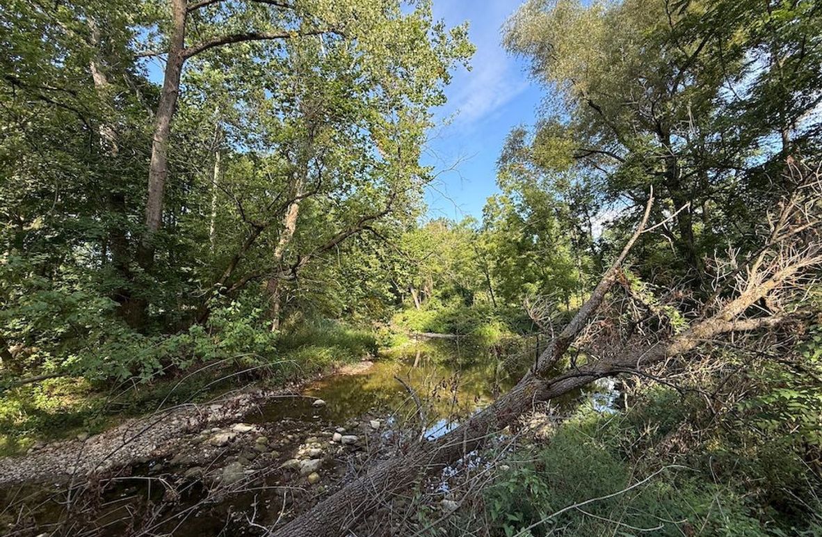 Cayuga_5.7_Cotten Photo 5