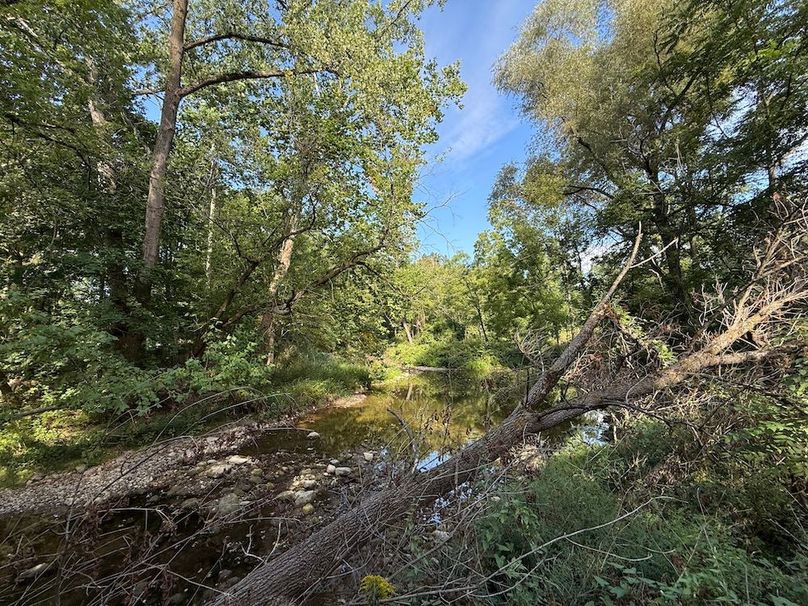 Cayuga_5.7_Cotten Photo 5